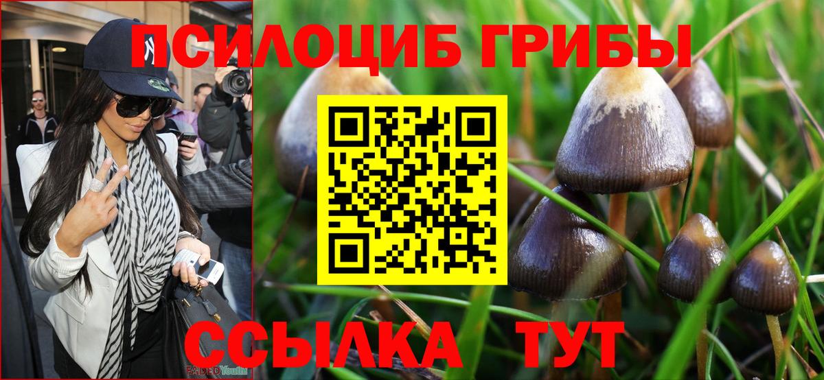Псилоцибиновые грибы MAGIC MUSHROOMS  как найти   Касимов  Вход с VPN 